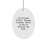 Funny Correctional Officer Gifts from Friends, Christmas Unique Gifts for Correctional Officer, Oval Ornament Correctional Officer Quote - Image 1